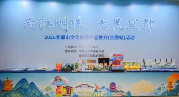 202506301115147333